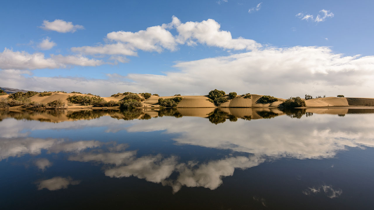 Charca de Maspalomas, Gran Canaria