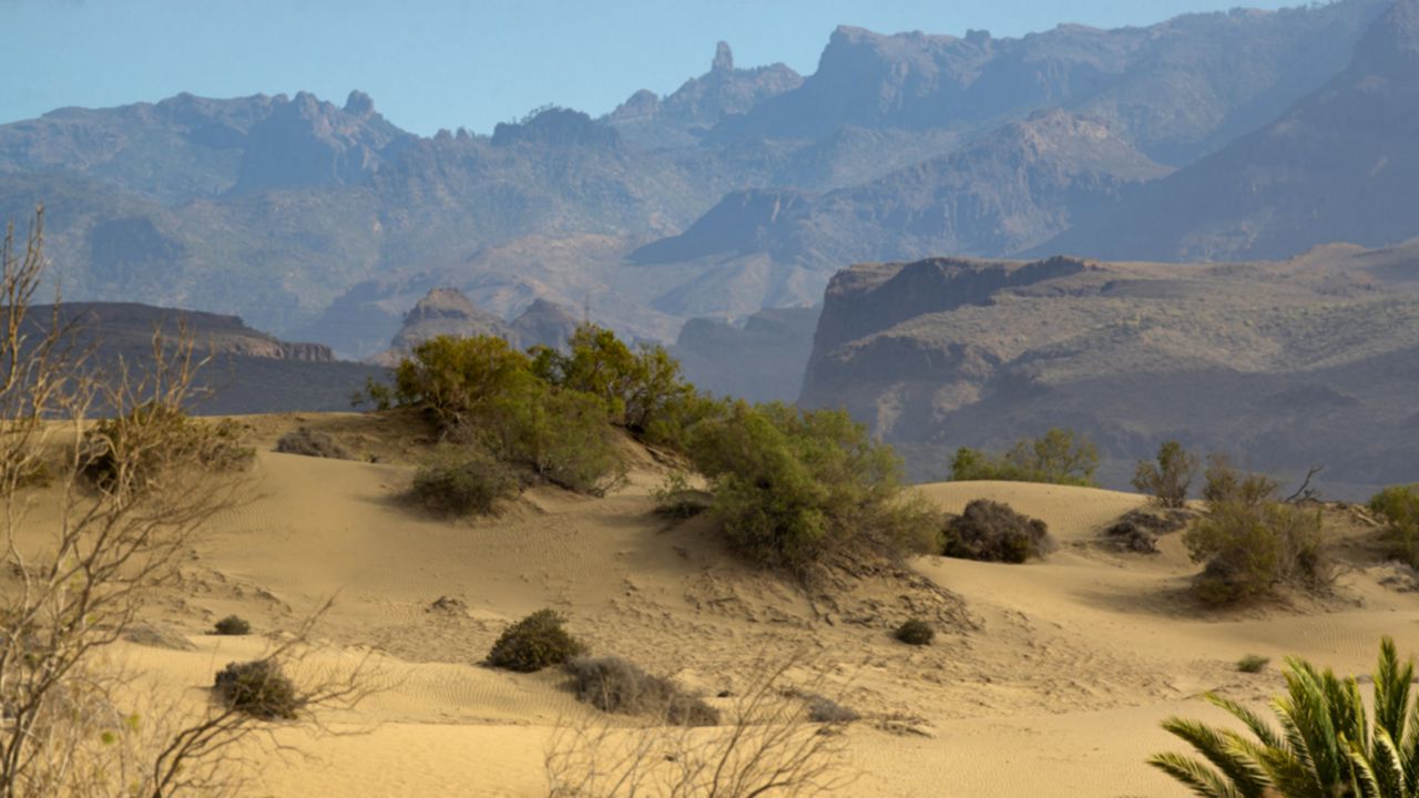 Maspalomas