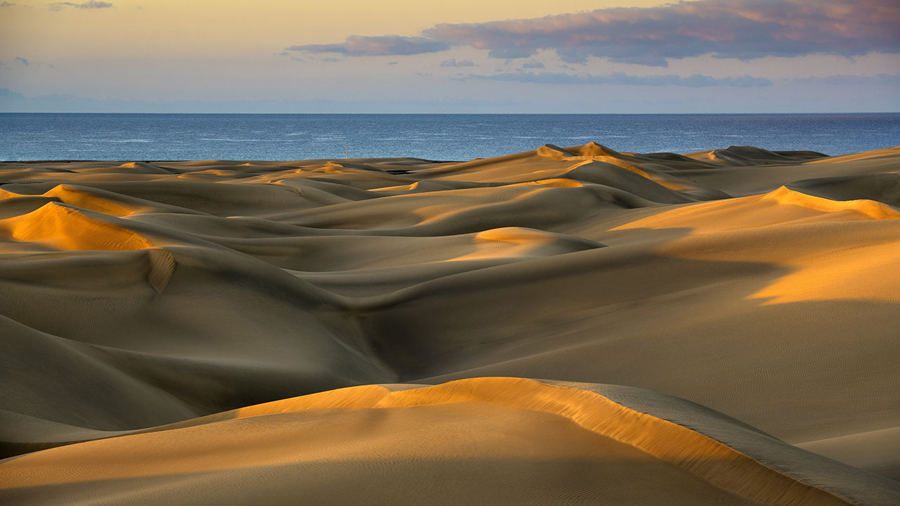 The Maspalomas Natural Dune Reserve