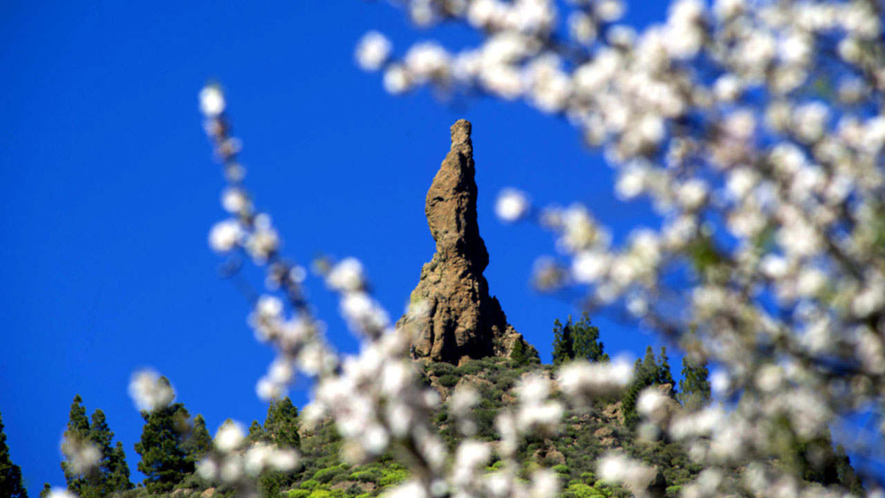 Roque El Fraile, behind flowering almond trees