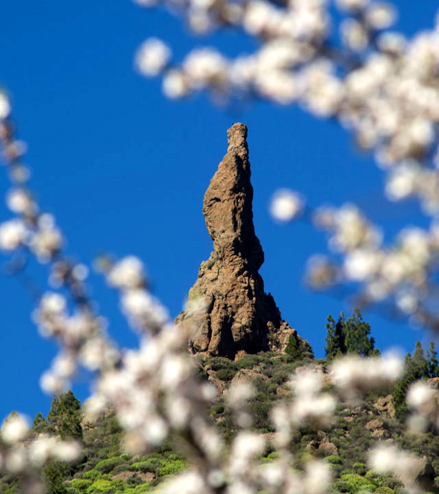 Roque El Fraile