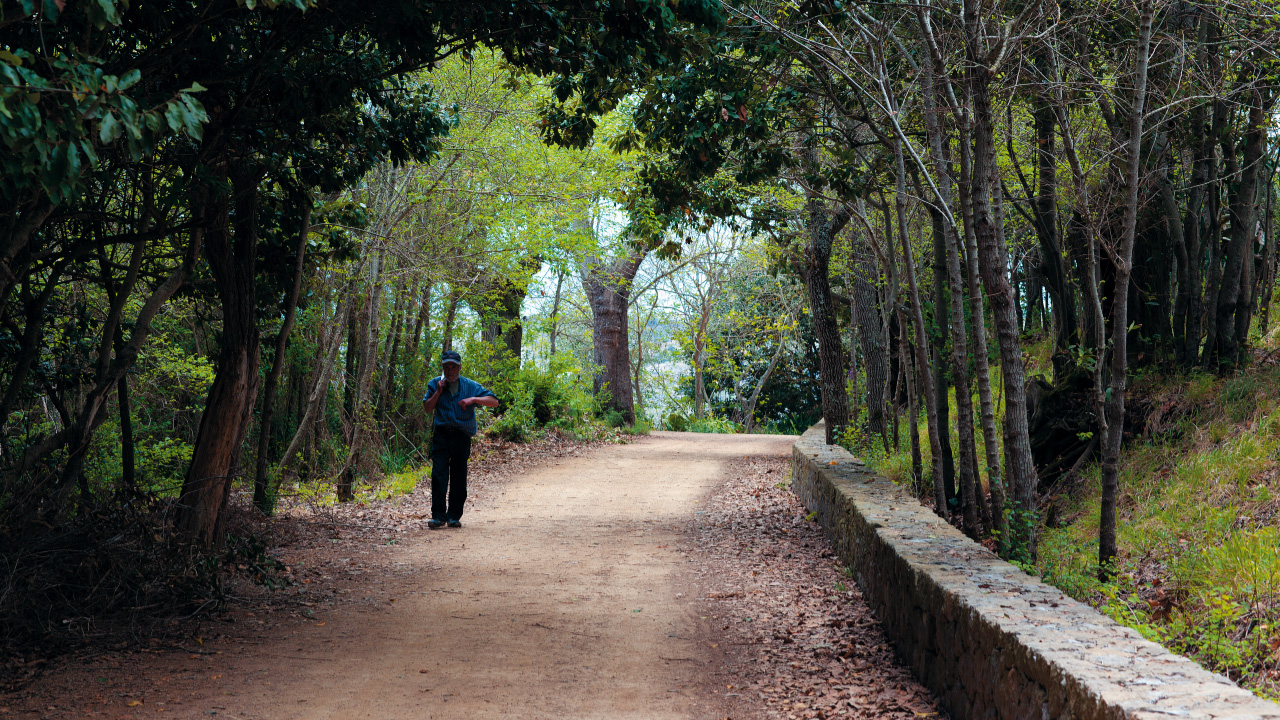 Finca de Osorio, Teror