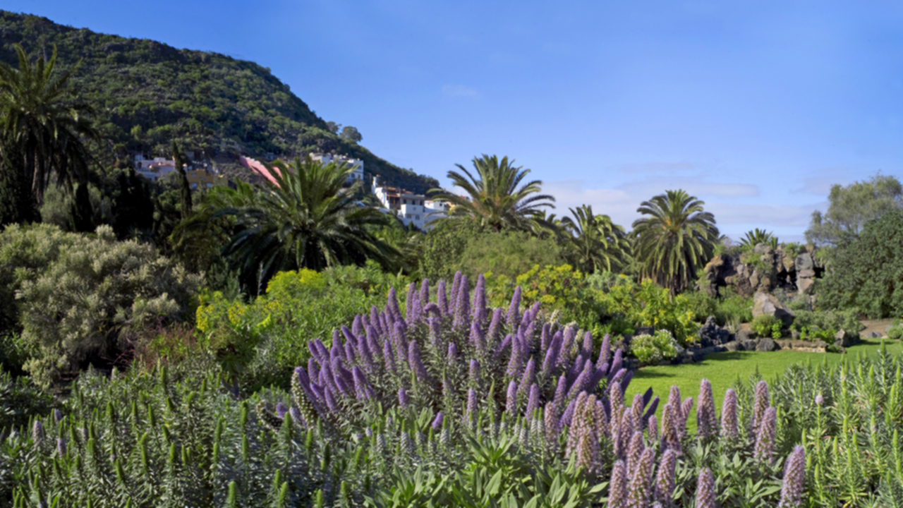 Jardín Botánico Viera y Clavijo - Jardín Canario