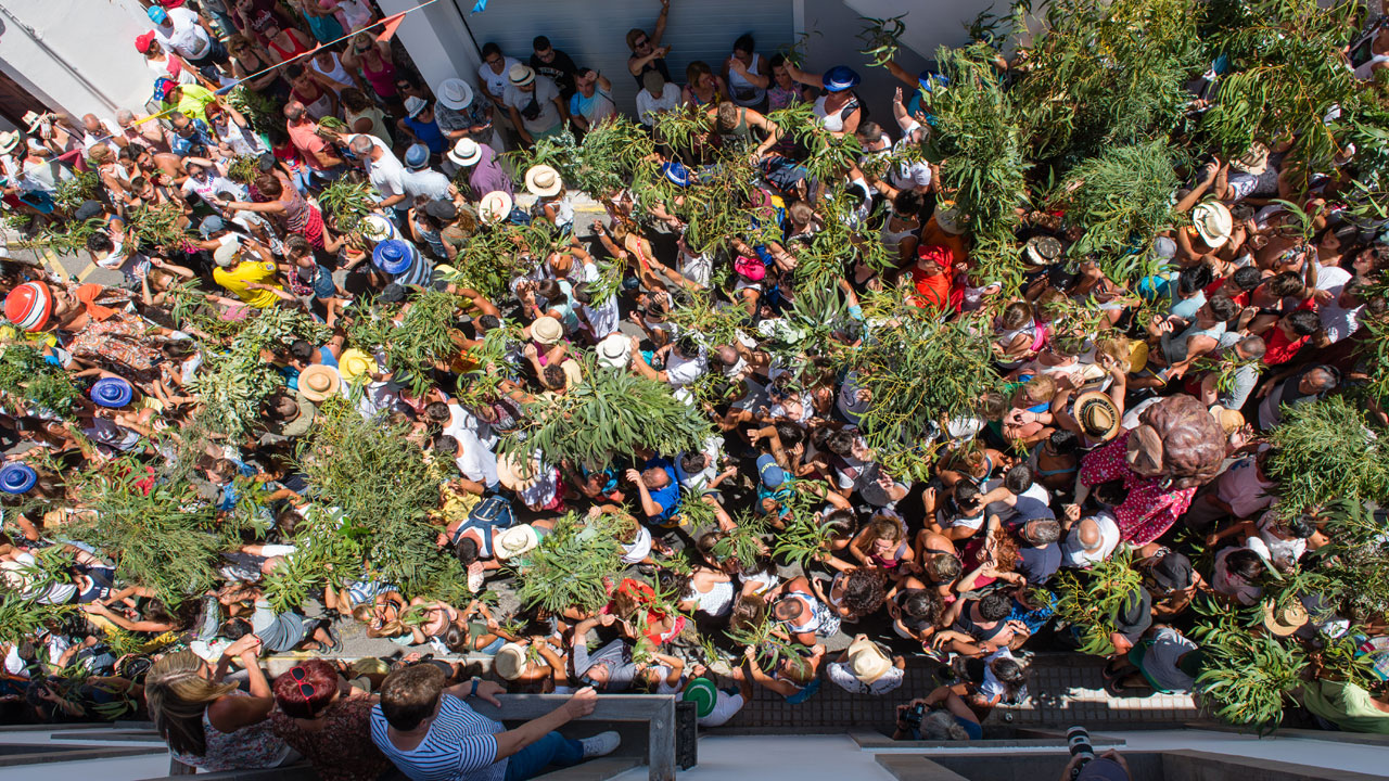 Celebrations of the Fiesta of La Rama, in Agaete, Gran Canaria