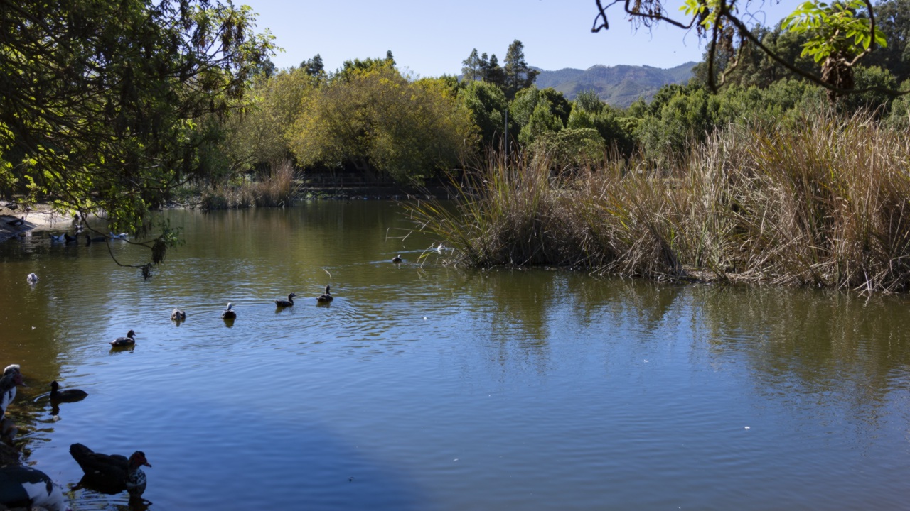 Laguna de Valleseco