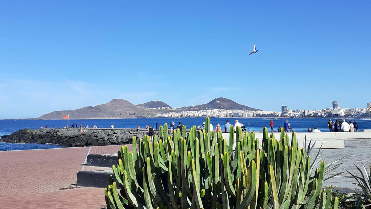 Las Canteras desde la trasera del Auditorio Alfredo Kraus, junto a la Plaza de la Música