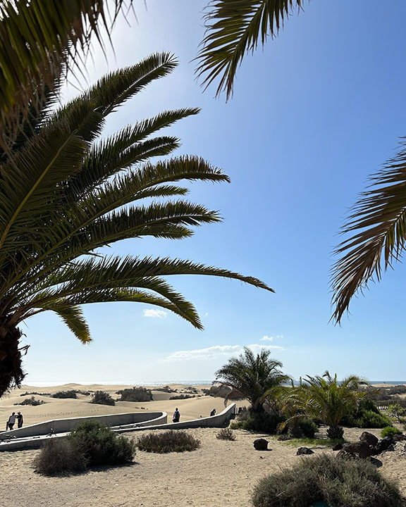 Entorno de mirador de las Dunas de Maspalomas Entorno de mirador de las Dunas de Maspalomas