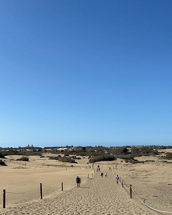 Sendero señalizado en las Dunas de Maspalomas Sendero señalizado en las Dunas de Maspalomas