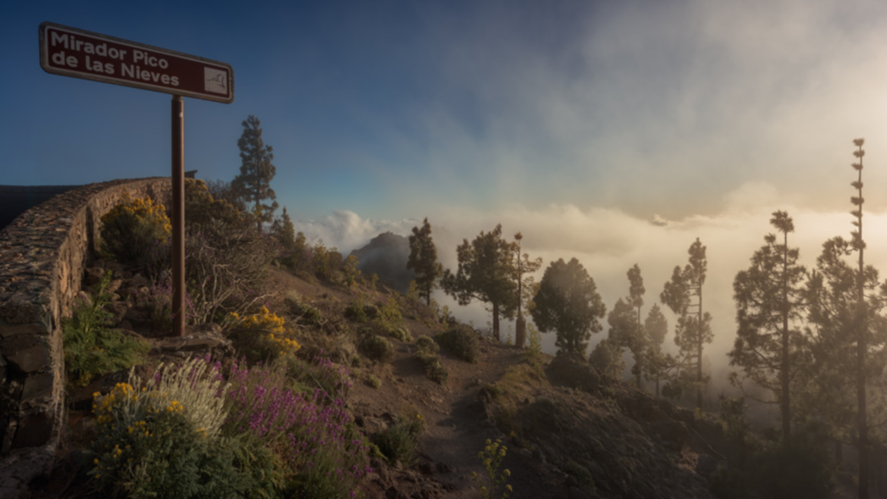 Mirador Pico de las Nieves