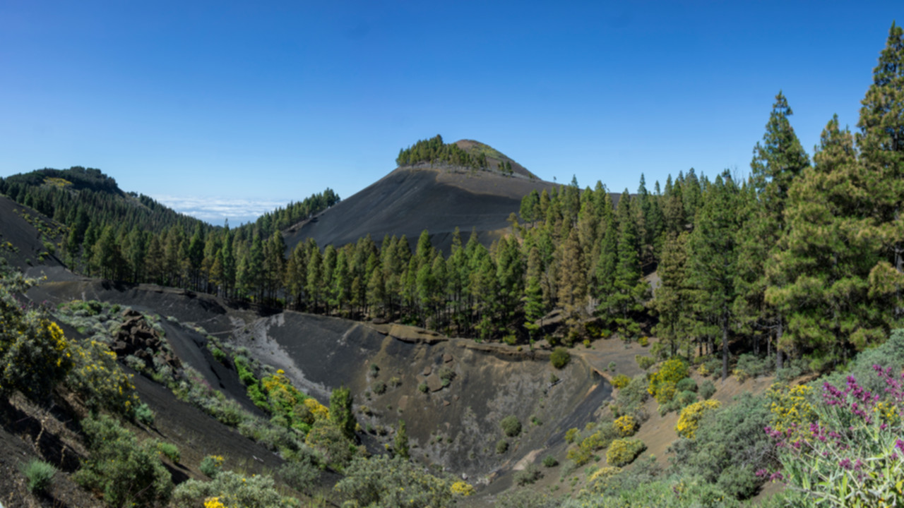 Montañón Negro