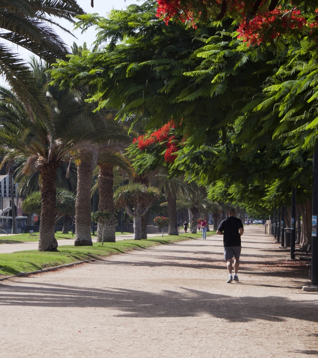 The Parque Romano in Las Palmas de Gran Canaria