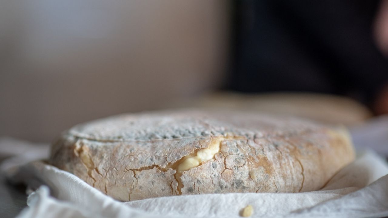 Queso de Flor de Santa María de Guía