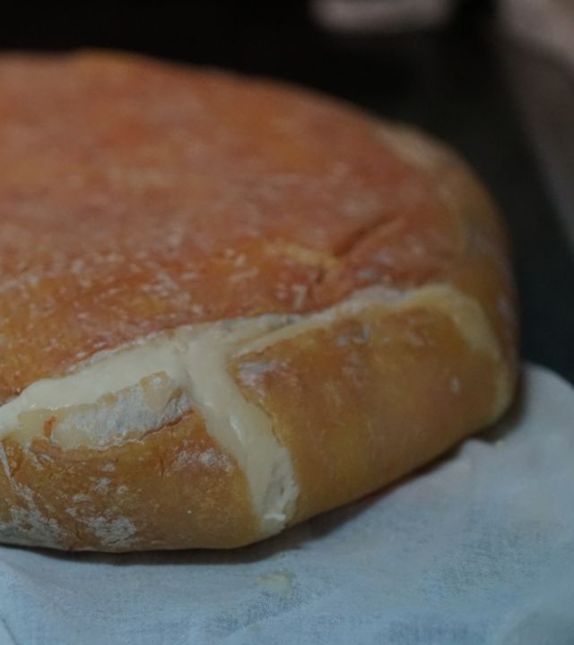 Queso de Flor de Santa María de Guía