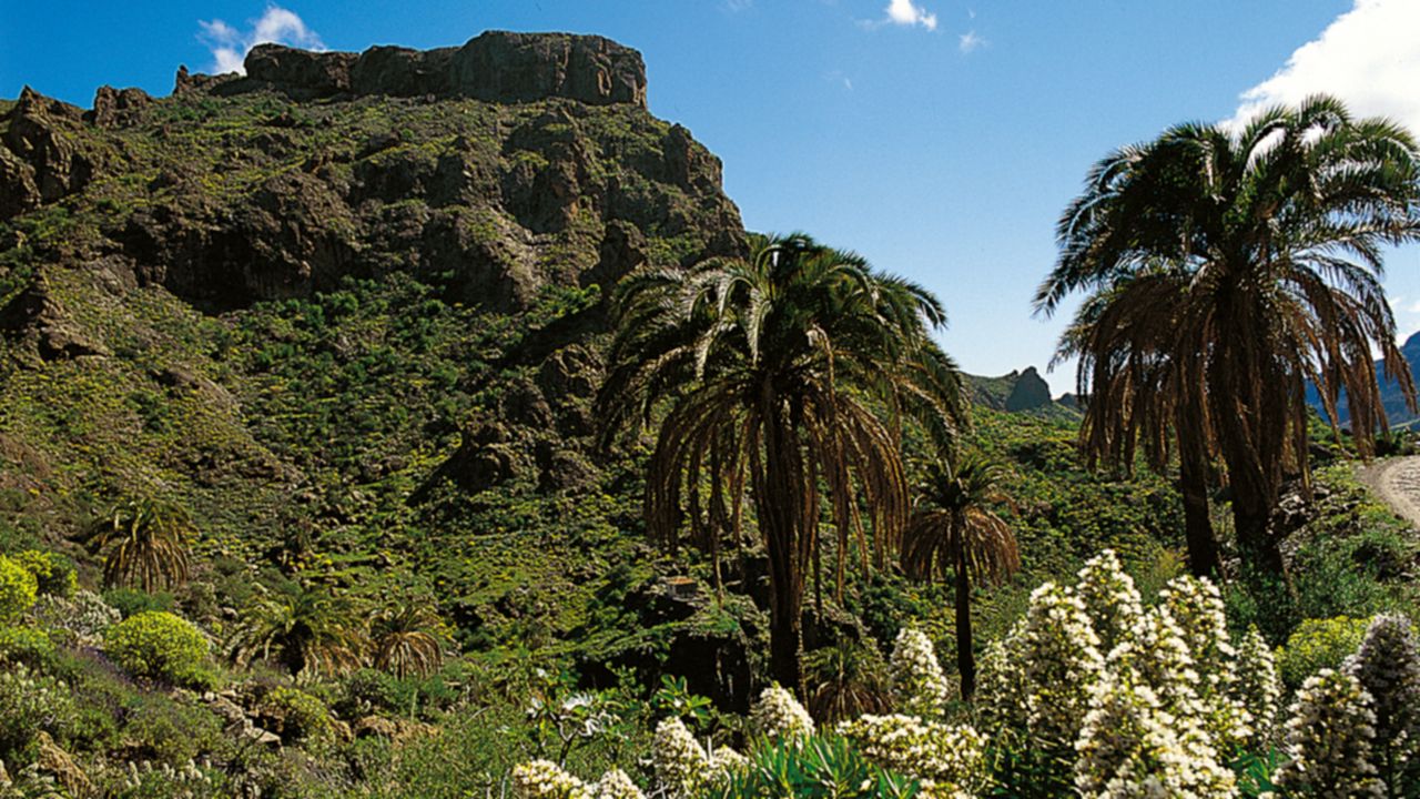 Special Nature Reserve of Guguy