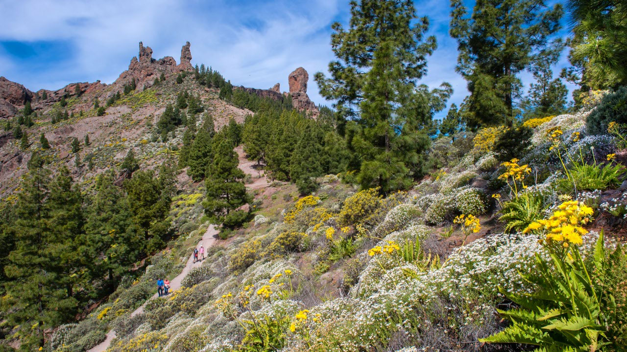 Paisaje del entorno del Roque Nublo Paisaje del entorno del Roque Nublo