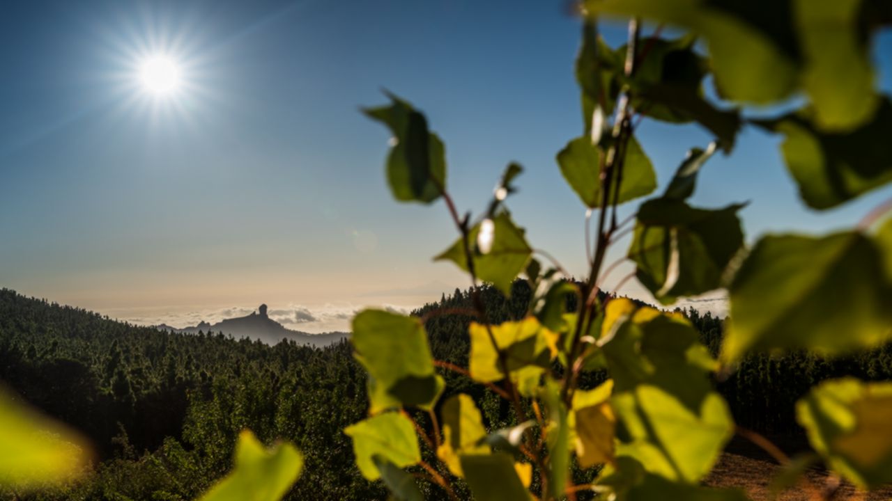 Roque Nublo