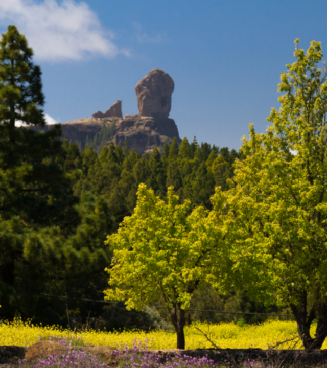 Roque Nublo Roque Nublo