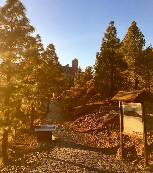 Camino que asciende al Roque Nublo