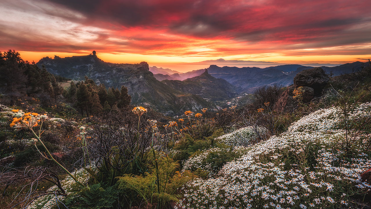 Vista del Roque Bentayga y Roque Nublo en primavera