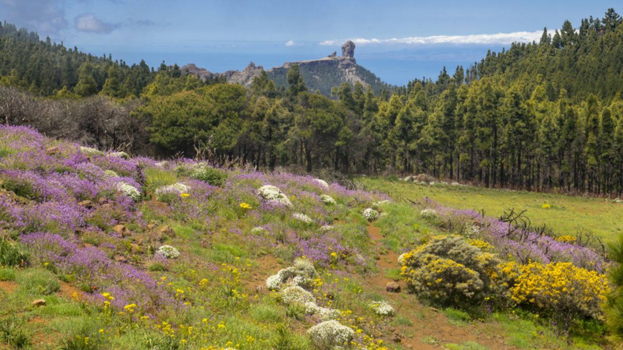 Roque Nublo