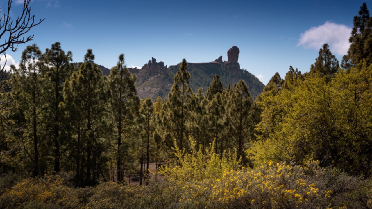 Roque Nublo