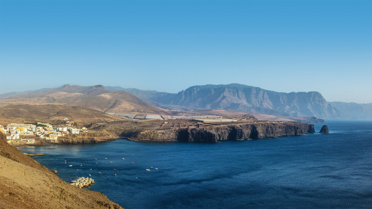 Sardina del Norte