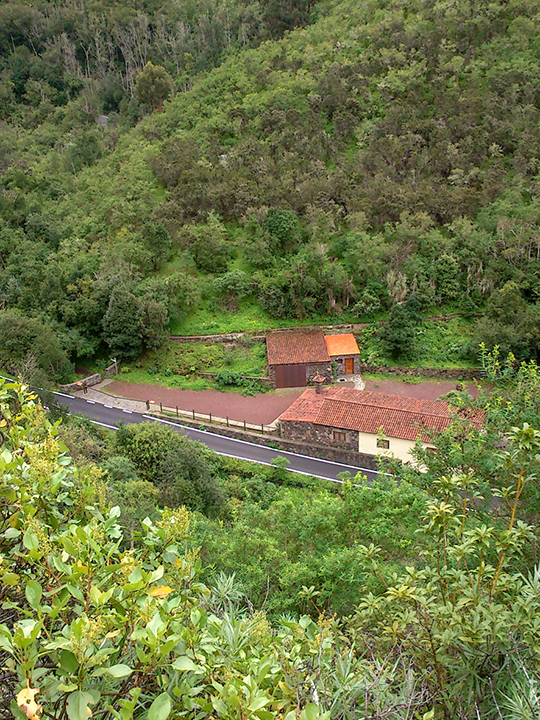 Tilos de Moya