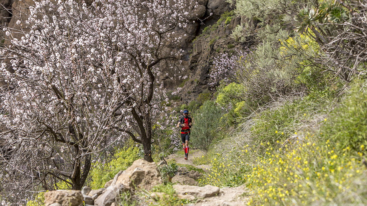 Uno de los tramos de la North Face Transgrancanaria, celebrada en Gran Canaria