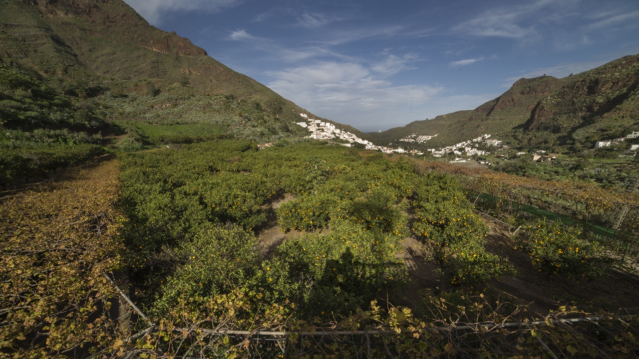 Valle de Agaete