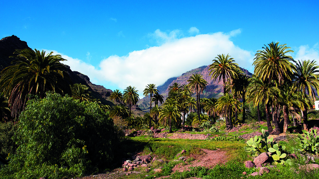 Veneguera, Mogán