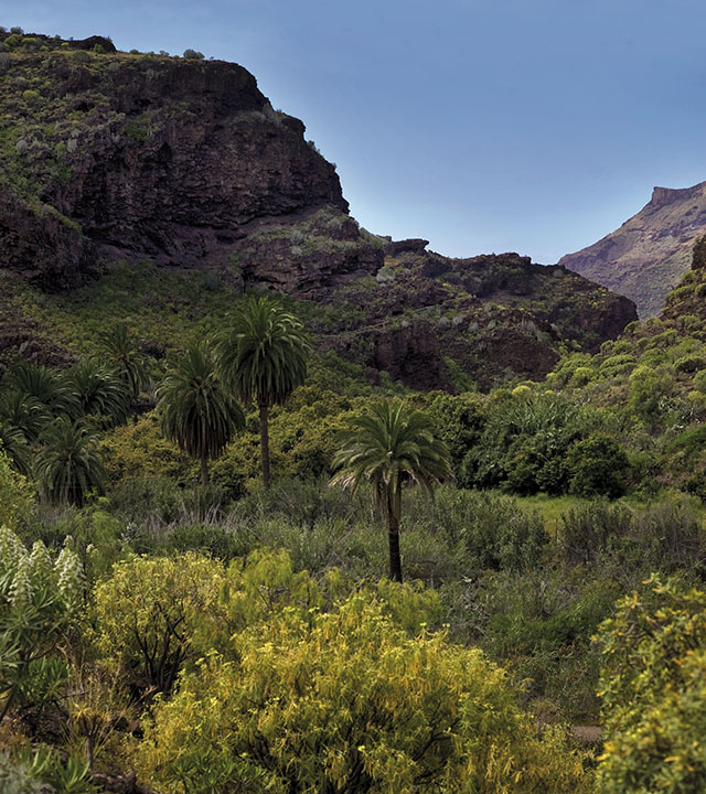 Veneguera, Mogán