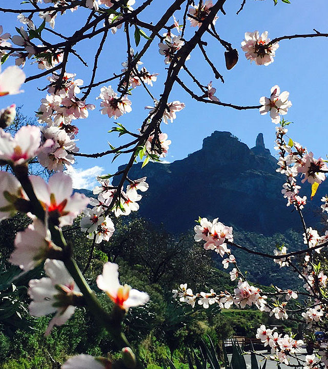 Roque Nublo, Tejeda