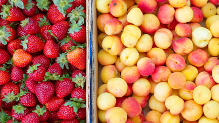 Fruit still life