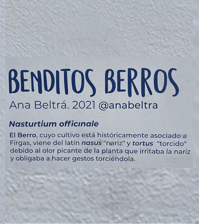 Mural "Benditos Berros" en el centro del municipio de Firgas
