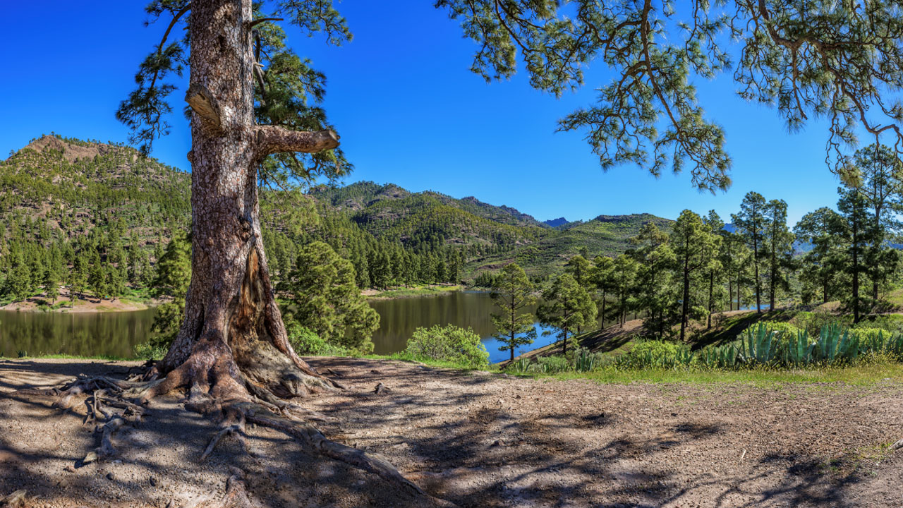 Presa de Las Niñas