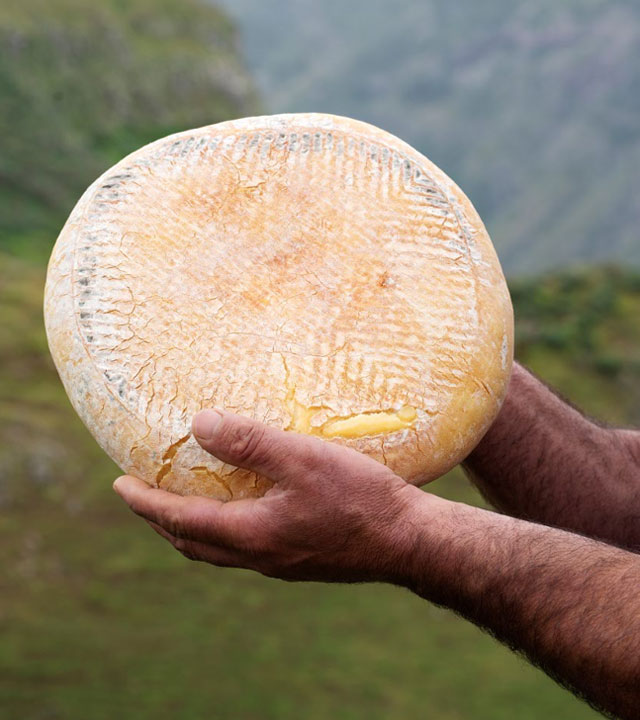 Queso de Flor