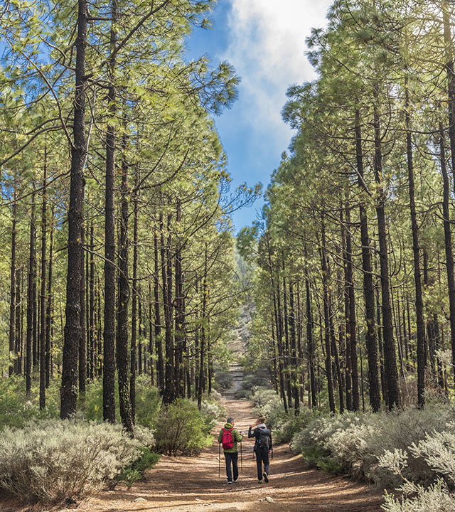 Two people hiking along the Camino de Santiago of Gran Canaria