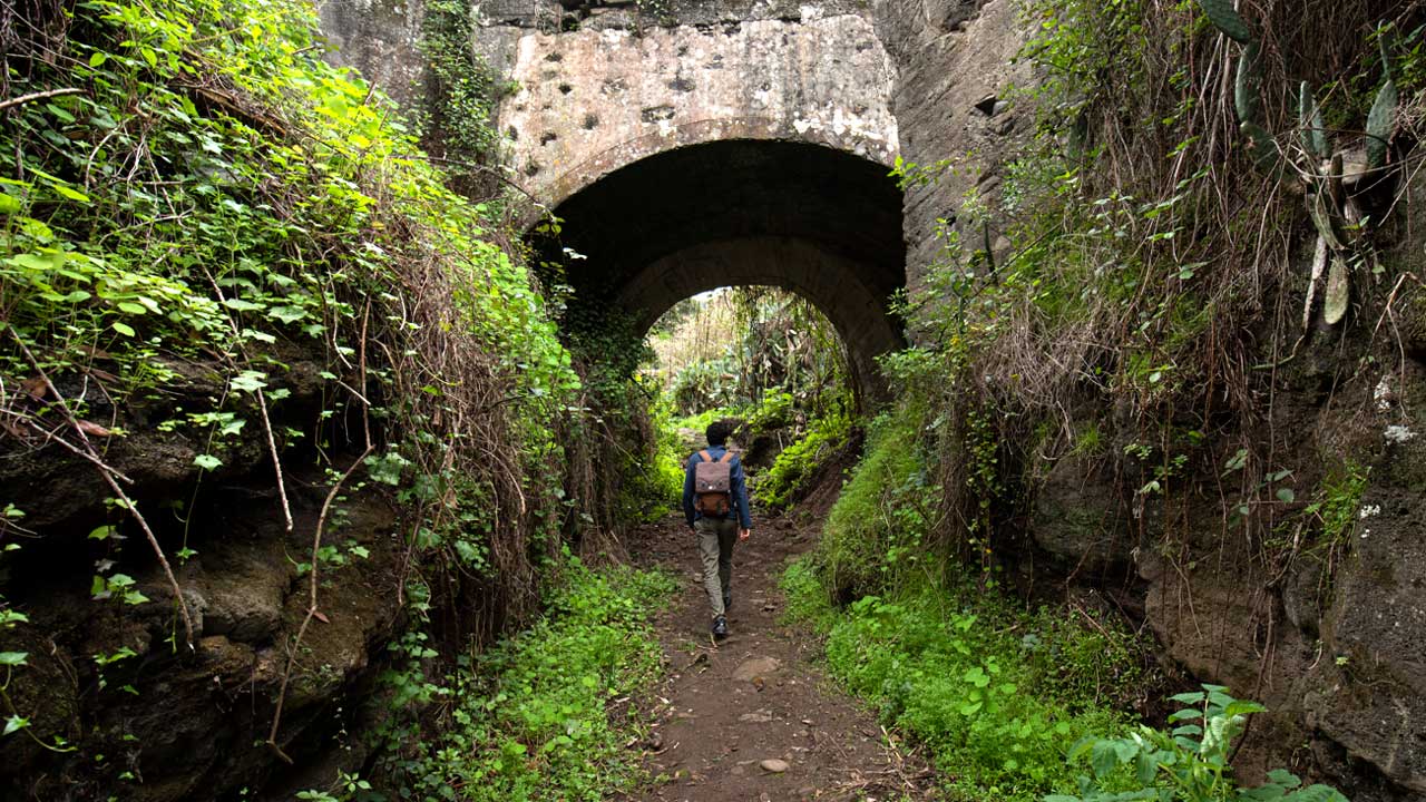 El Álamo Trail in Teror