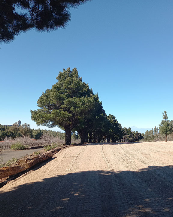 Zona de aparcamiento Cruz de Los LLanos. Foto de: Área de Medio Ambiente del Cabildo de Gran Canaria