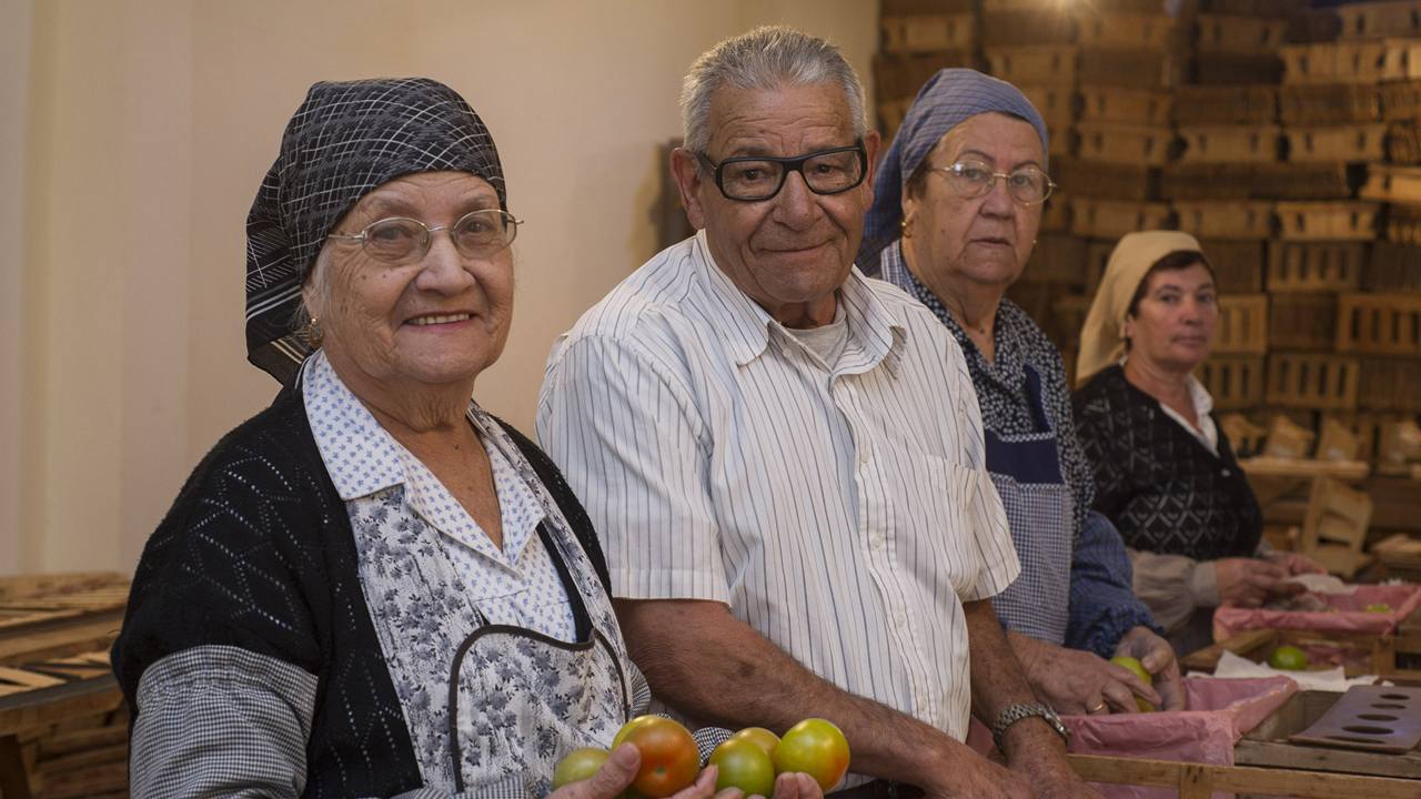 Un grupo de personas recuerda el trabajo en la antigua factoría de empaquetado del tomate, en La Aldea. Gran Canaria