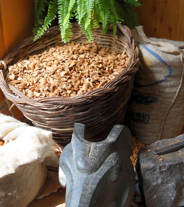 Almendras de Gran Canaria