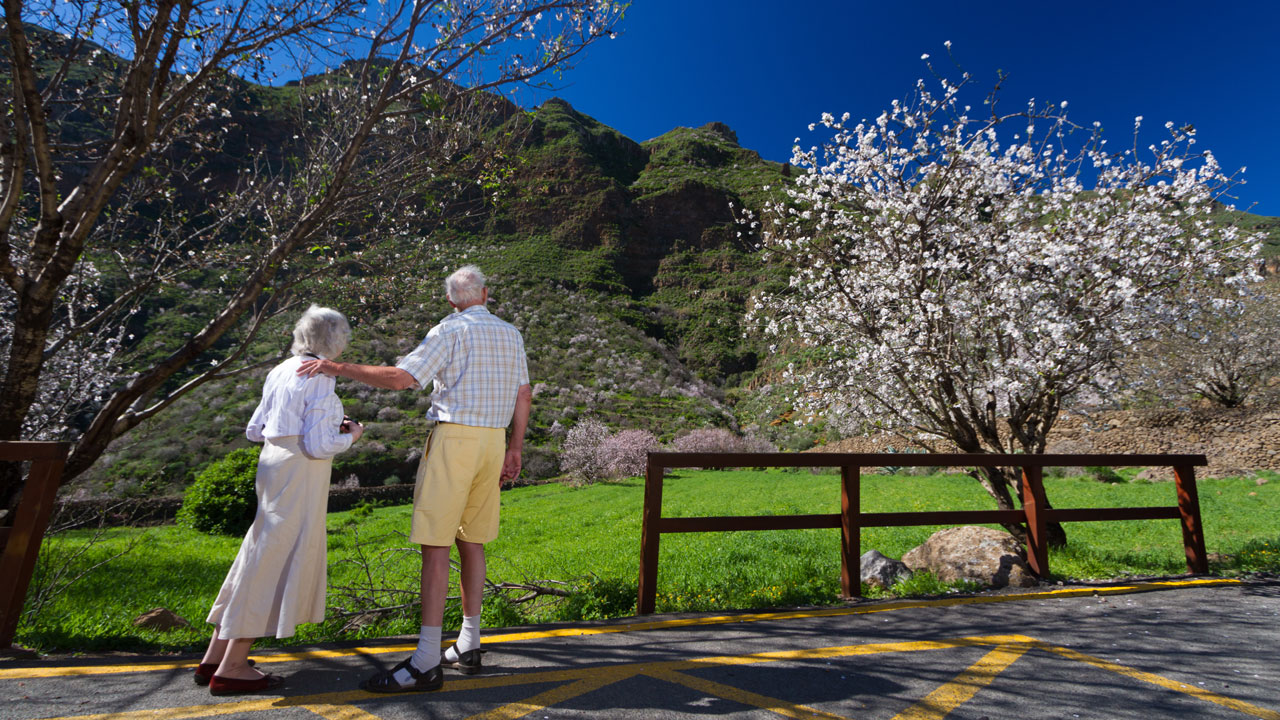 A couple watching almond trees in bloom