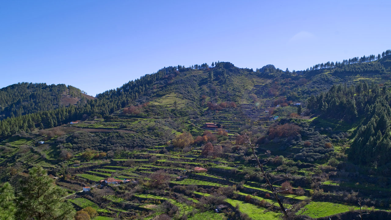 Camaretas en el municipio de Vega de San Mateo en la isla de Gran Canaria