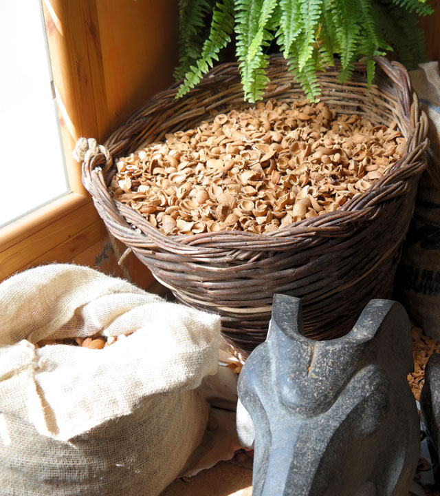 Recipiente con cáscaras de almendras