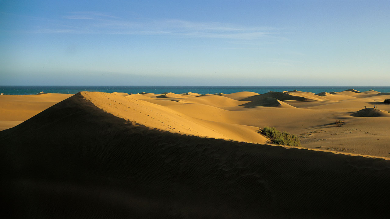 Dunas de Maspalomas Dunas de Maspalomas