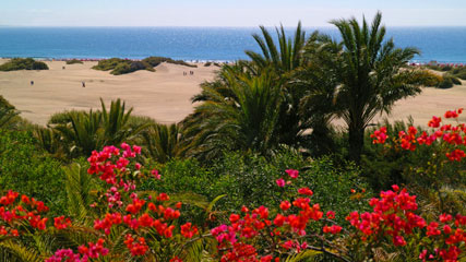 Dunas de Maspalomas, Gran Canaria Dunas de Maspalomas, Gran Canaria