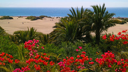 Dunas de Maspalomas, Gran Canaria