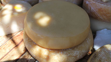 Queso de Santa María de Guía