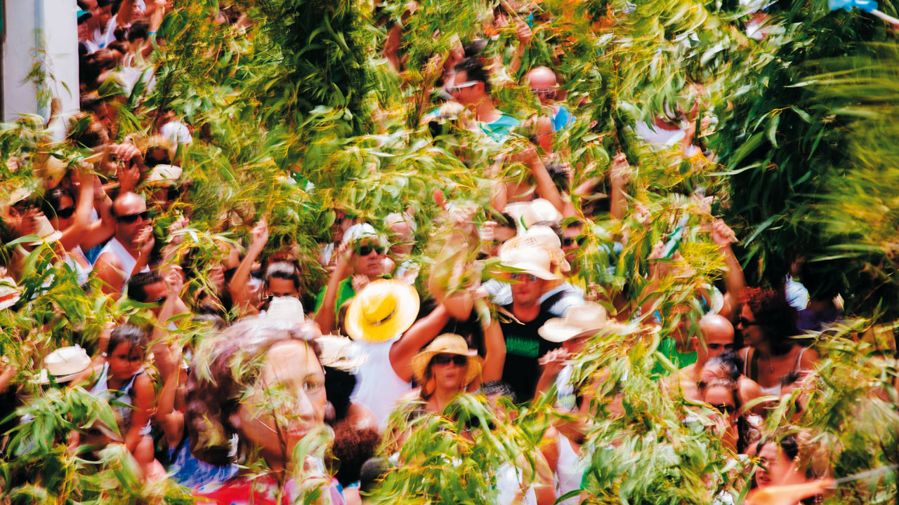 Celebración de la Fiesta de La Rama en Agaete, Gran Canaria