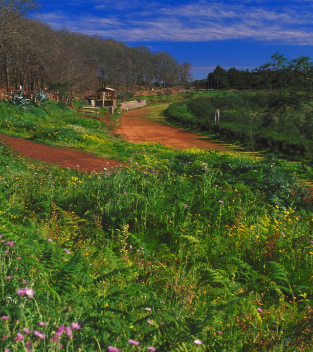 Laguna de Valleseco